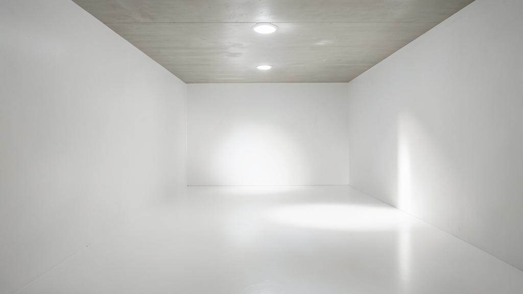 What to Expect for Mold Remediation Costs in a 1,500 Sq Ft Agoura Hills Home