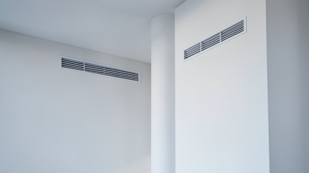 Understanding Mold Remediation Costs in Agoura Hills: What Homeowners Should Expect