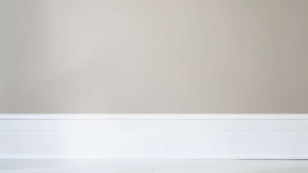 Understanding the Science Behind Mold Species Identification in Belleair Beach