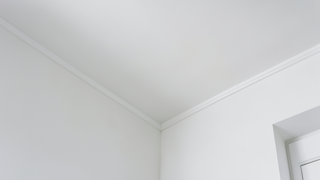 What to Do If You Suspect Black Mold in Your Belleair Beach