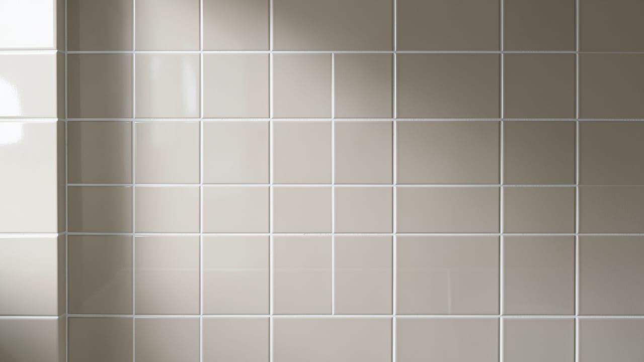 Tile & Grout Mold Cleanup in Belleair Beach, FL in Belleair Beach