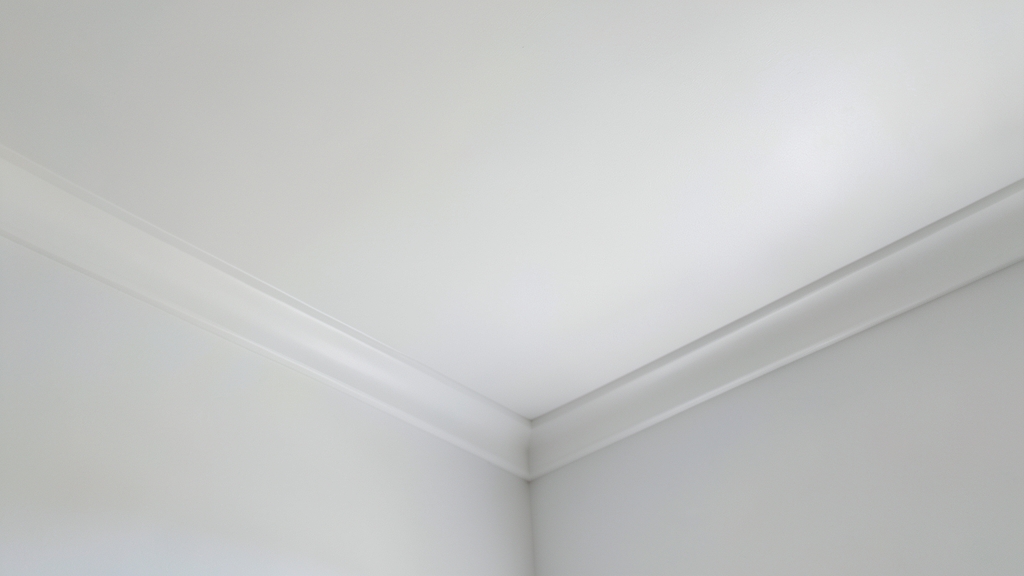Step-by-Step Commercial Mold Assessment Process for Belleair Bluffs Facilities