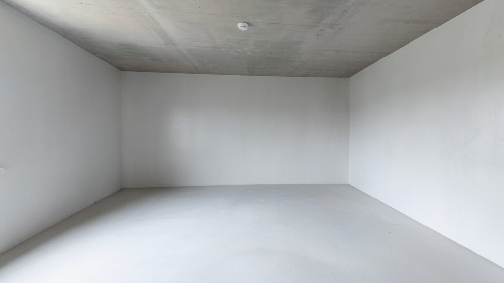 How to Verify a Licensed Mold Remediation Contractor in Belleair Bluffs