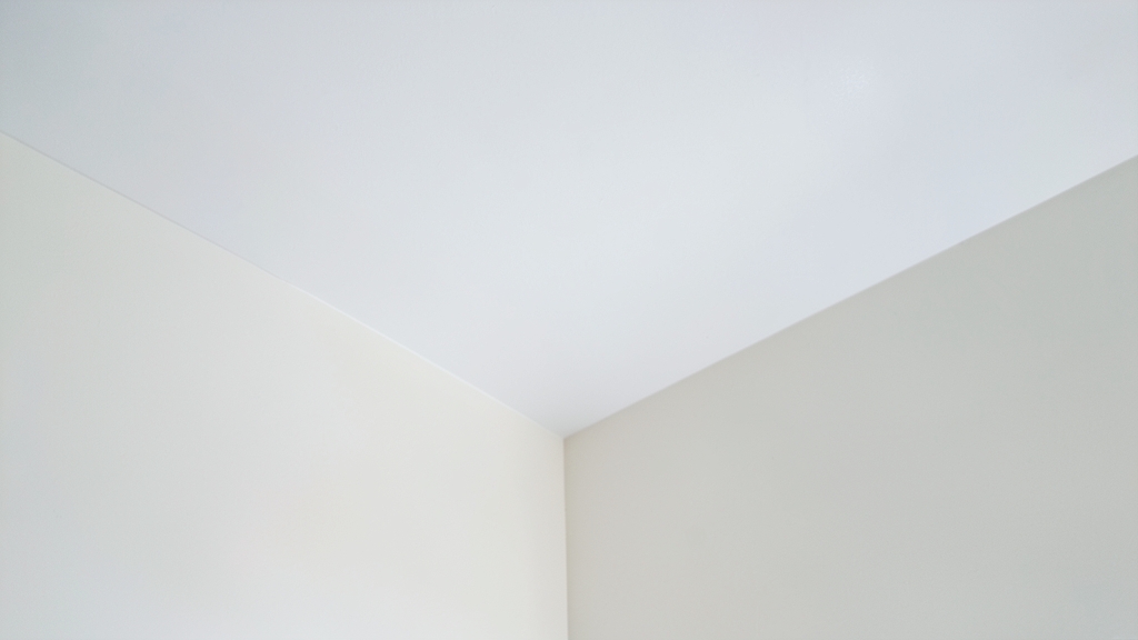 How Humidity Drives Mold Growth and Remediation Costs in Belleair Bluffs