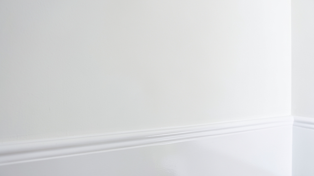 How to Use Fans and Vents to Reduce Mold Risk in Your Belleair Bluffs Home