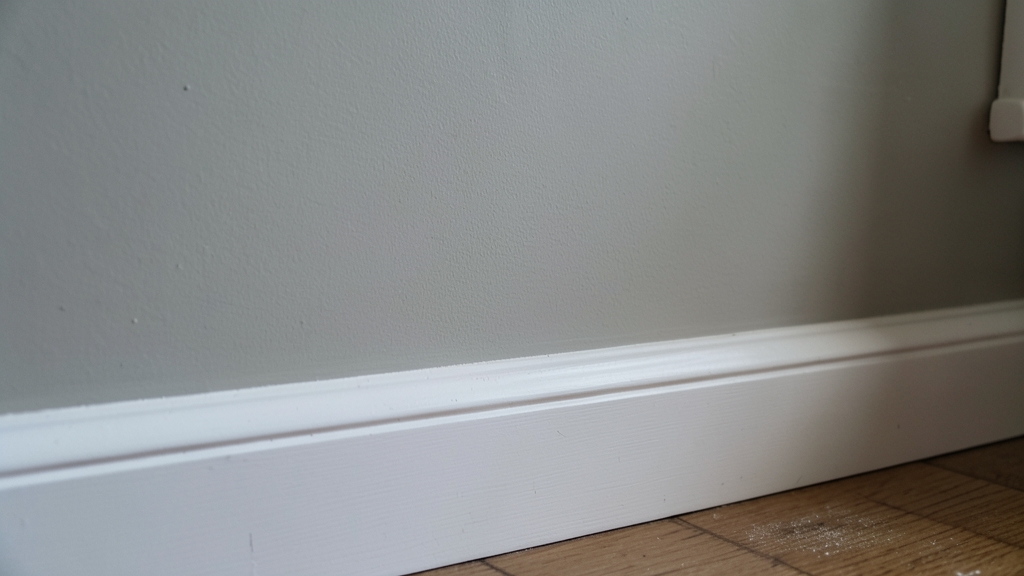 DIY vs. Professional Mold Remediation: What Costs More in Belleair Shores?