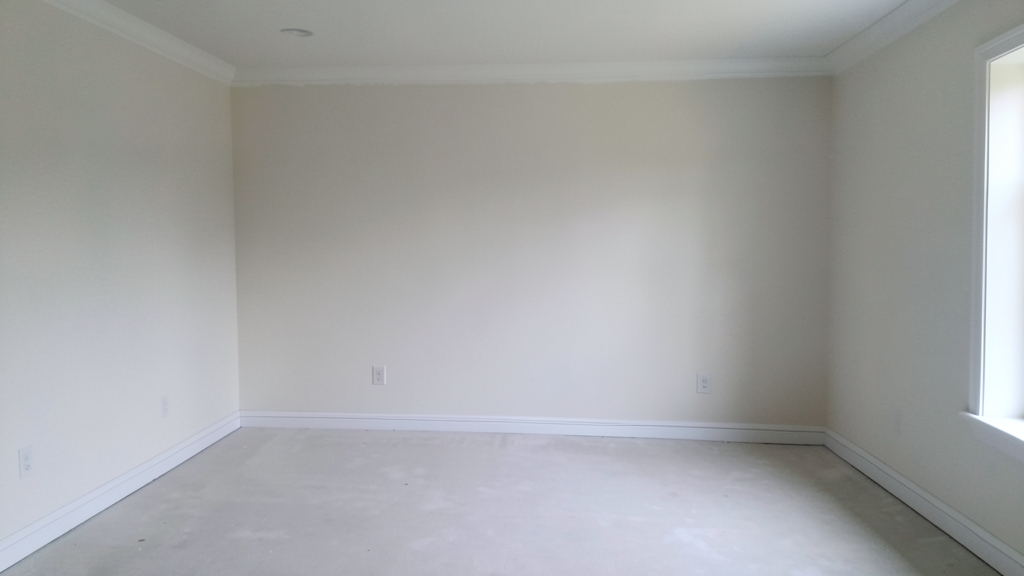 Does Homeowners Insurance Cover Mold Damage in Belleair Shores?
