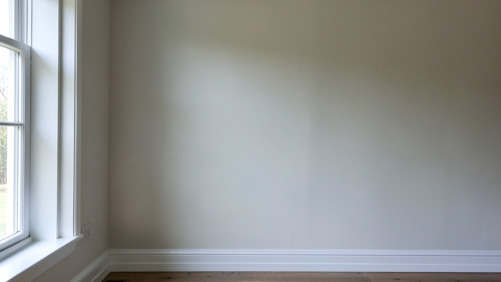 Why ERMI Testing is the Gold Standard for Mold Verification in Belleair Shores