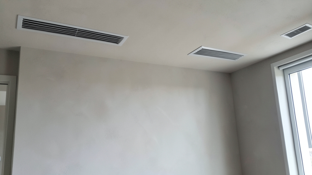 How to Dry Out Your Home After a Storm to Prevent Mold in Belleair Shores