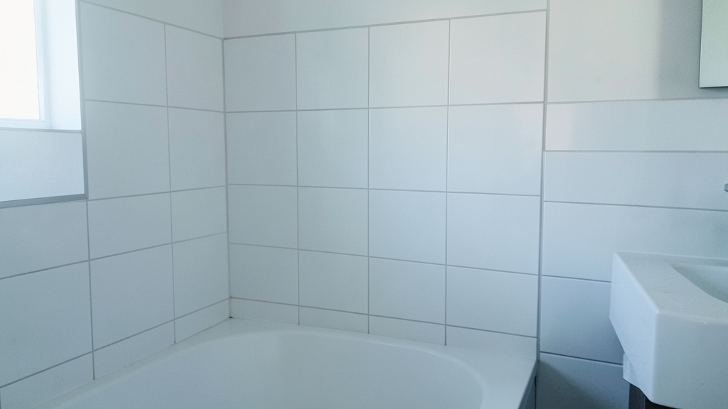Why Professional Mold Remediation in Belleair Shores Saves You More in the Long Run