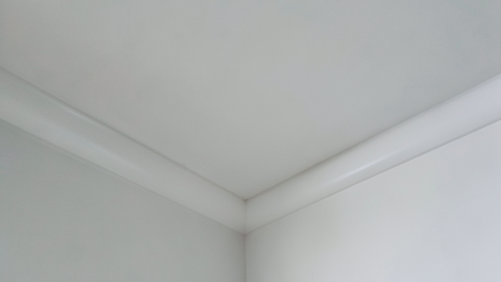 Preventing Mold and Mildew in Belleair Shores: Key Differences in Approach