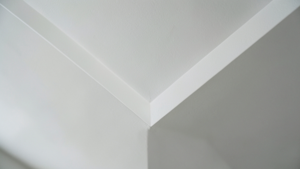 When to Use Antimicrobial Sprays in Mold Treatment for Belleair Shores Homes