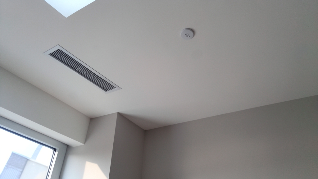 Why DIY Mold Solutions Fail in Belleair Shores and When to Call a Pro