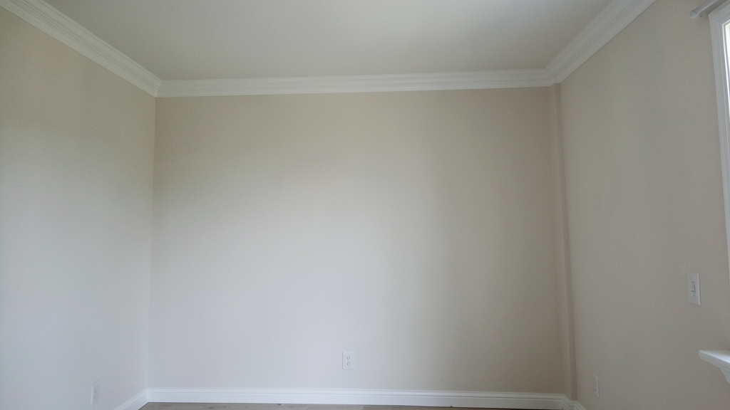 Air and Surface Sampling: Key Steps in Belmont Mold Testing