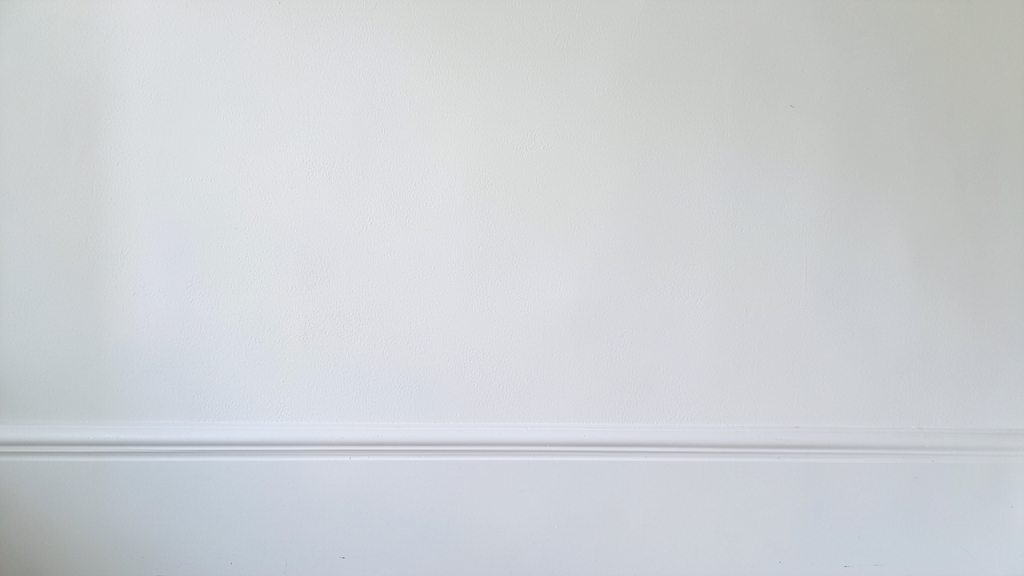 Basement Mold Removal Costs and Process for Belmont Homes