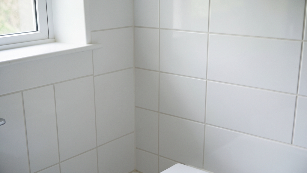 The Best Moisture Barriers for Crawl Spaces and Basements in Belmont