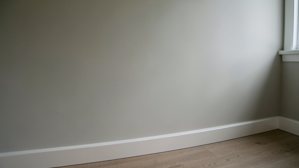 Understanding City Permits for Mold Remediation Projects in Belmont