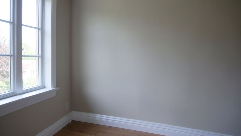 Why Containment Is Critical for Large-Scale Mold in Belmont