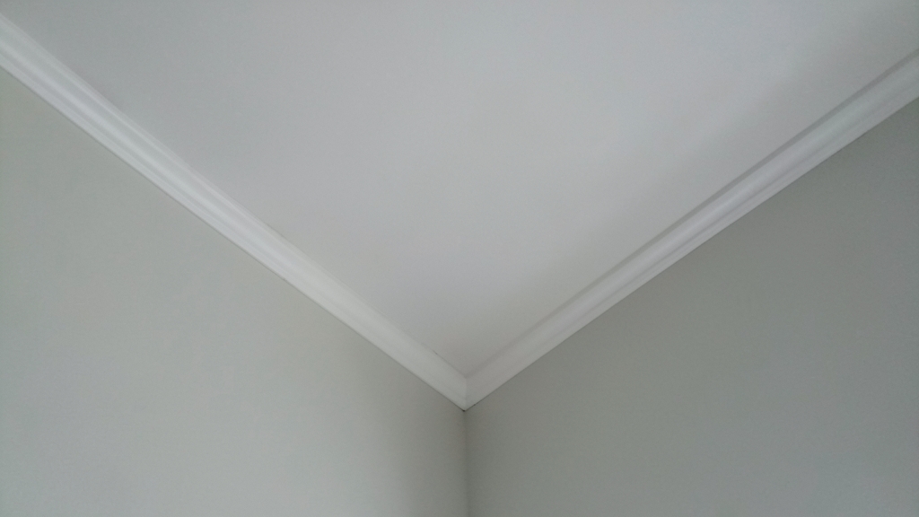 Understanding the Cost of Mold Remediation in Belmont