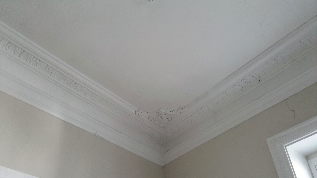 The Cost of Skipping Professional Mold Remediation in Belmont