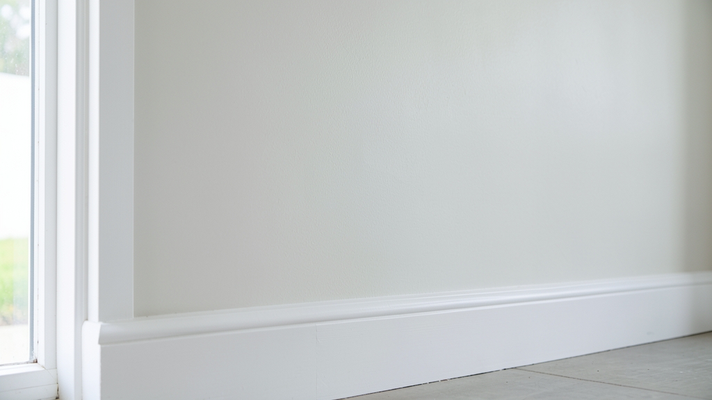 DIY vs. Professional Mold Removal: What’s Legal in Belmont