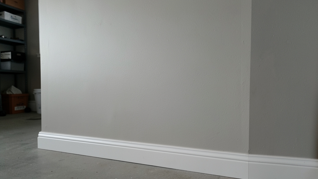 Emergency Mold Remediation: What to Expect for Response Times and Pricing in Belmont