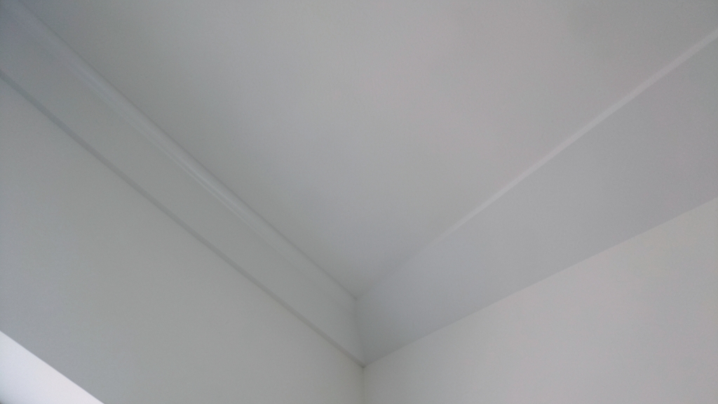 The Hidden Dangers of Cross-Contamination When Cleaning Mold in Belmont Homes
