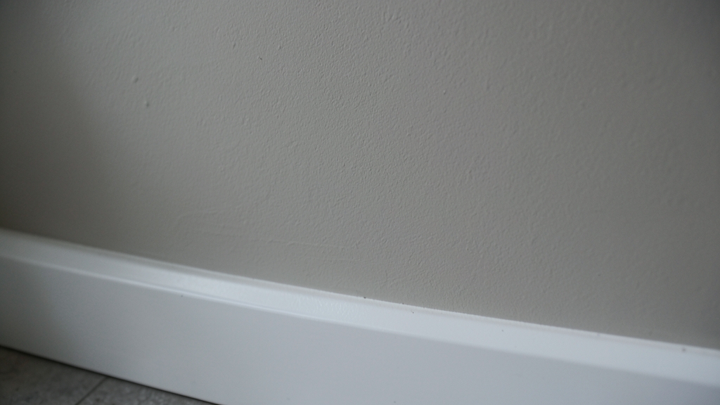 How Mold Spores Spread During DIY Cleanup and Why Belmont Homeowners Should Avoid It