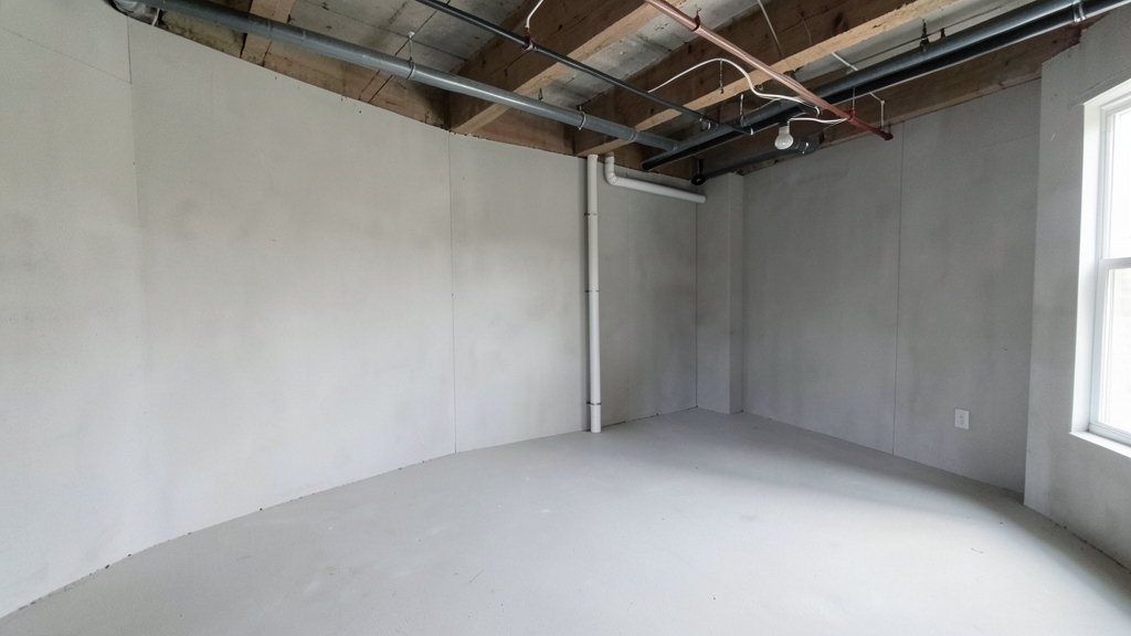How Often Should You Test for Mold in Belmont