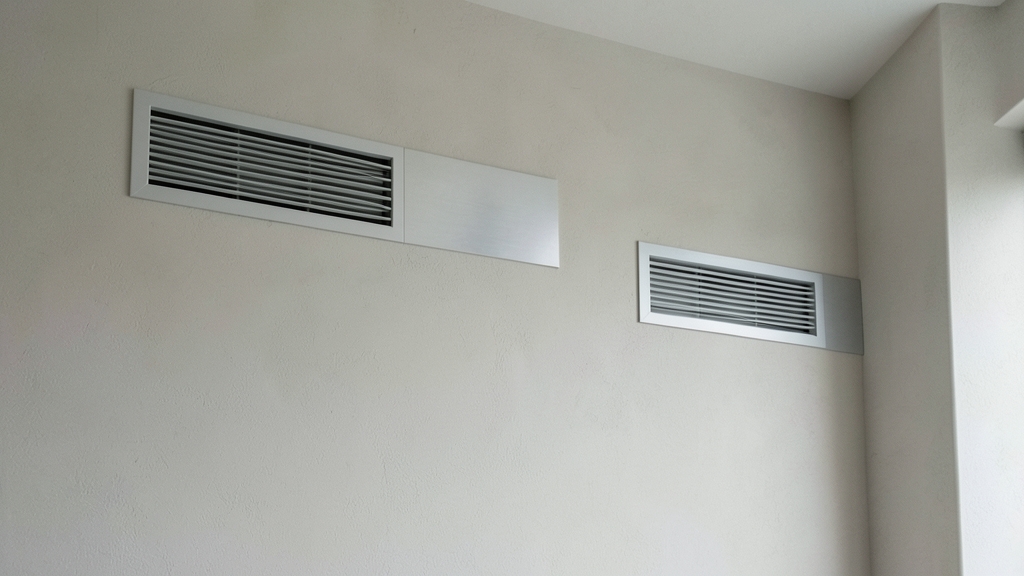 The Legal Risks of DIY Mold Remediation for Belmont Landlords