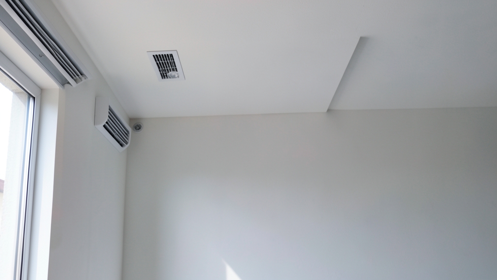 Understanding Mold Removal Costs by Severity Level in Belmont Homes