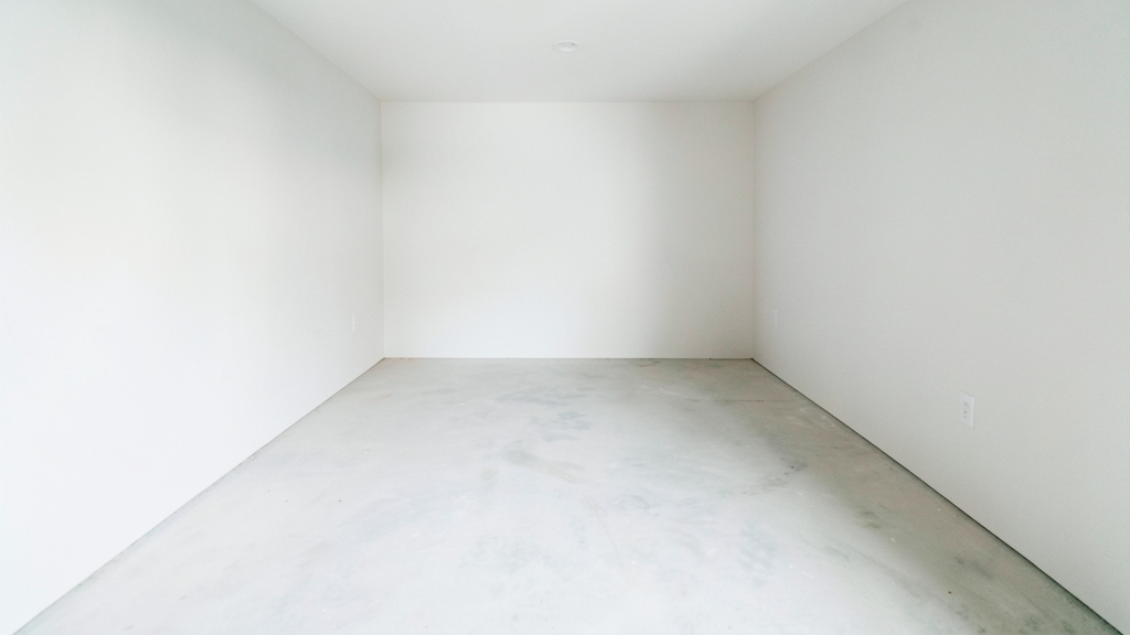 Mold Testing vs. Remediation: Where to Allocate Your Budget in Belmont