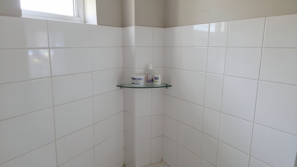 How Professional Mold Remediation Reduces Health Risks in Belmont