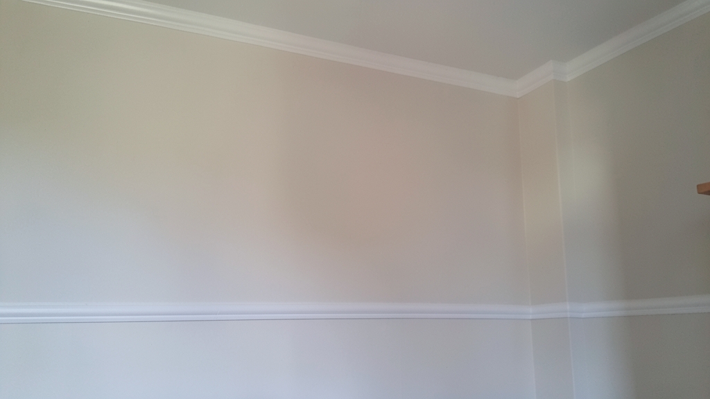 Your Step-by-Step Guide to Professional Mold Inspections in Belmont