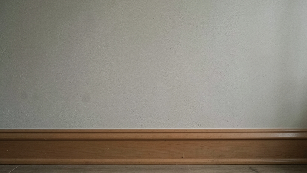 Why DIY Mold Tests Aren’t Enough for Belmont Homeowners
