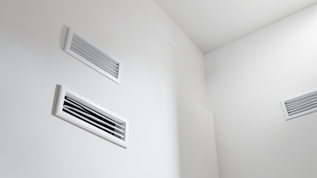 How to File a Mold-Related Insurance Claim in Bridgewater, NJ