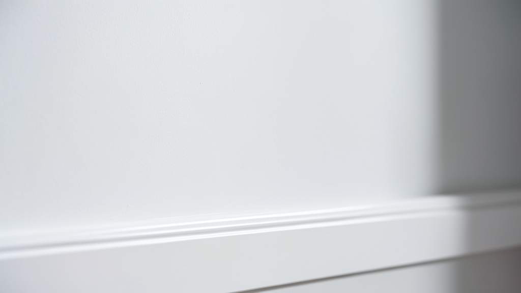 Mold vs. Mildew: Key Differences Every Bridgewater