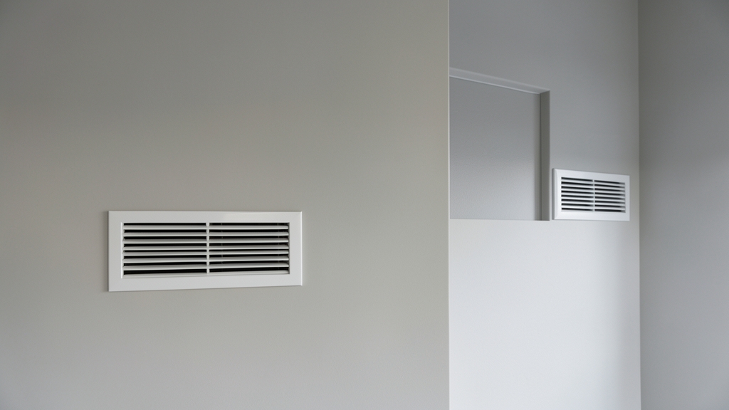 7 Clear Signs You Need Professional Mold Remediation in Bridgewater