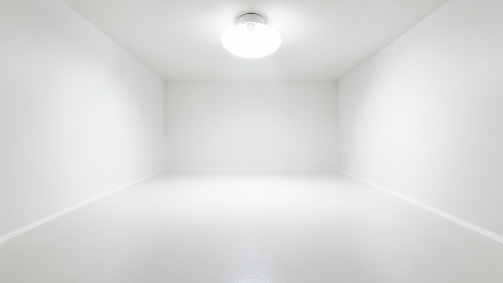 Why Mold Spreads Faster Than Mildew in Bridgewater Homes