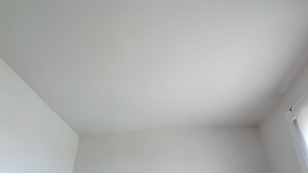 Ceiling Mold Removal in Bridgewater, NJ in Bridgewater