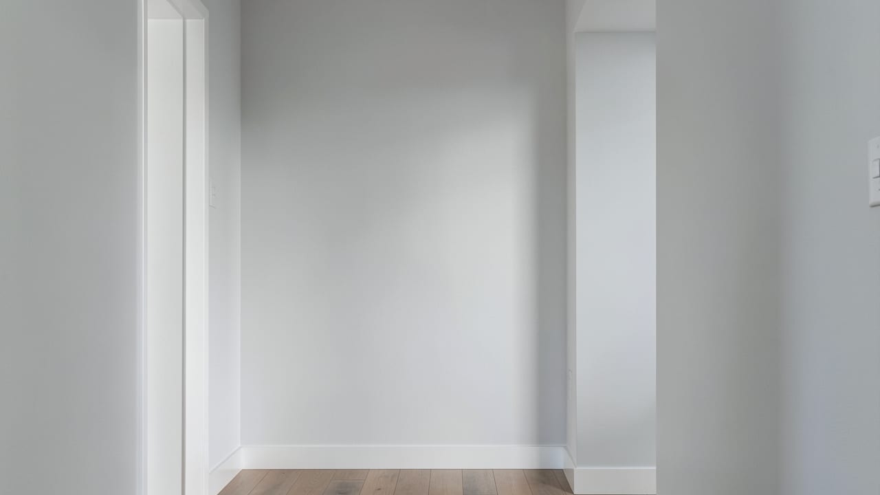 Drywall Mold Remediation in Bridgewater, NJ in Bridgewater