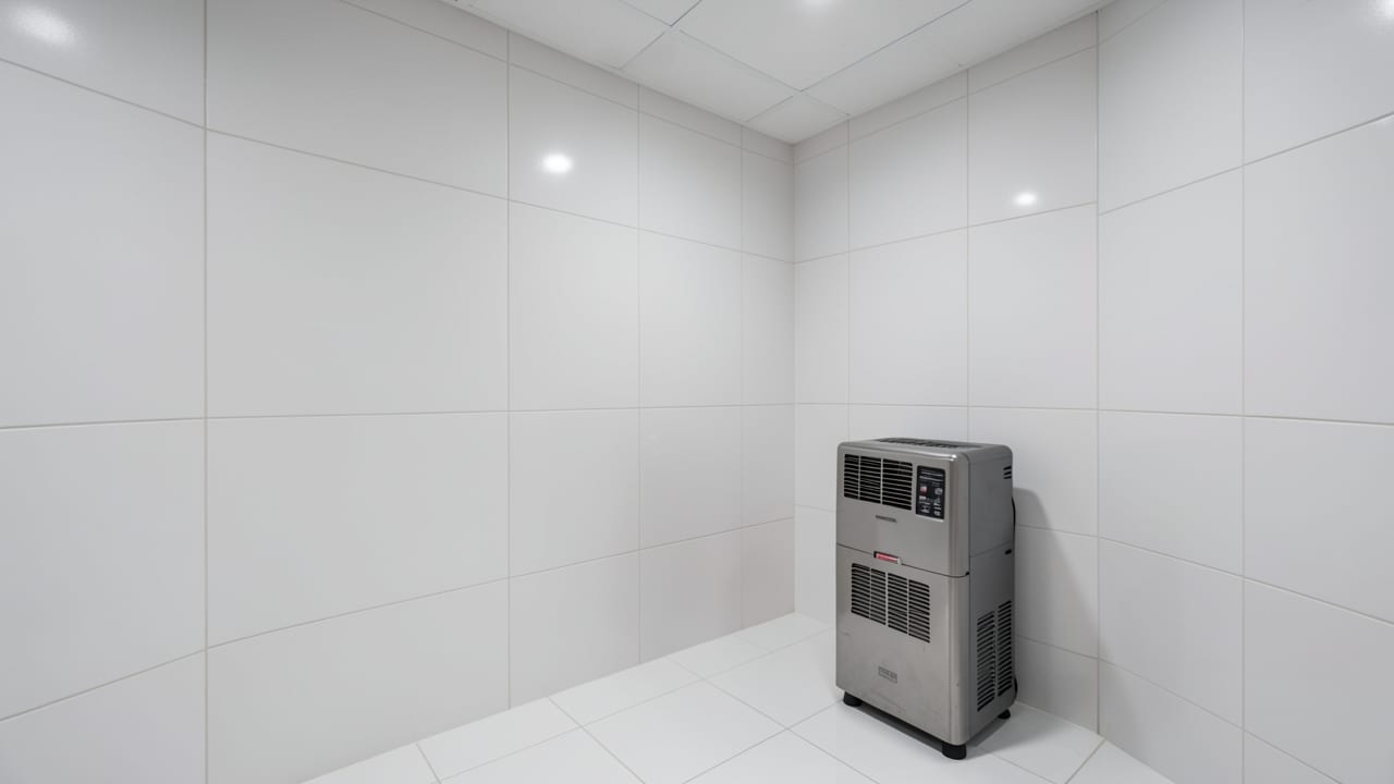 Hotel Mold Remediation in Bridgewater, NJ in Bridgewater