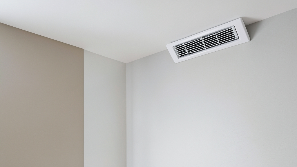 How Mold Findings in a Burnham Place Home Inspection Impact