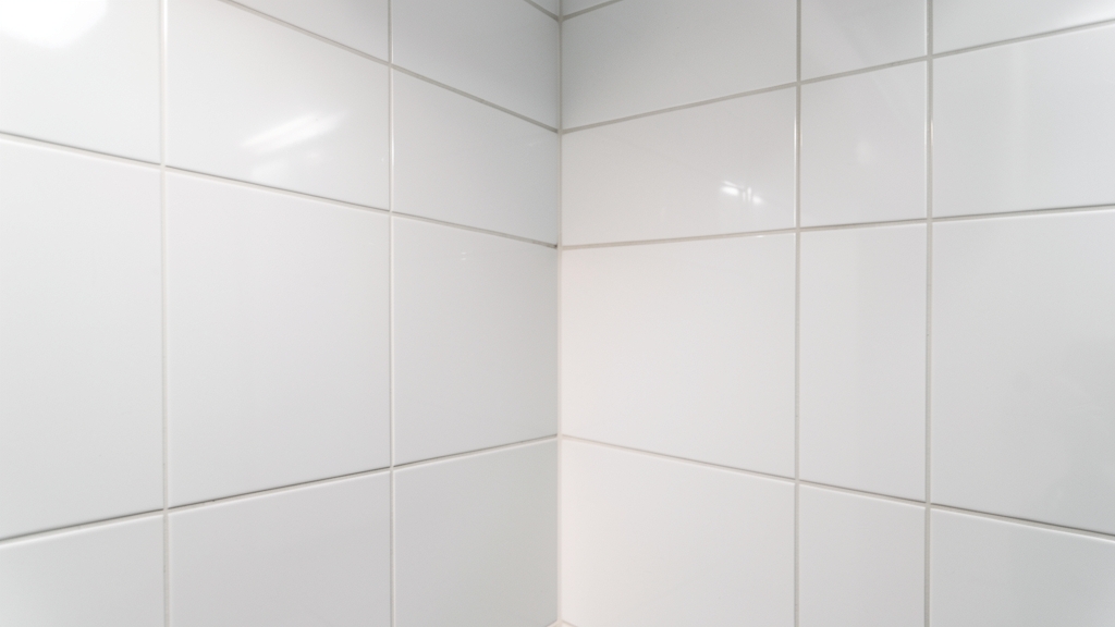 Mold Remediation 101: Safeguarding in Burnham Place
