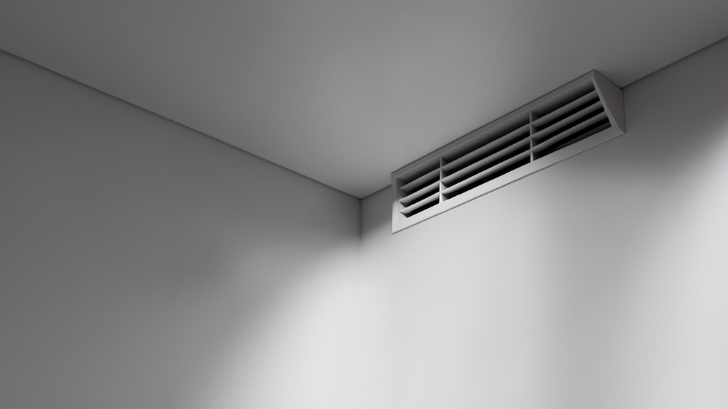 Long-Term Effects of Mold vs. Mildew: What Burnham Place Homeowners Need to Know