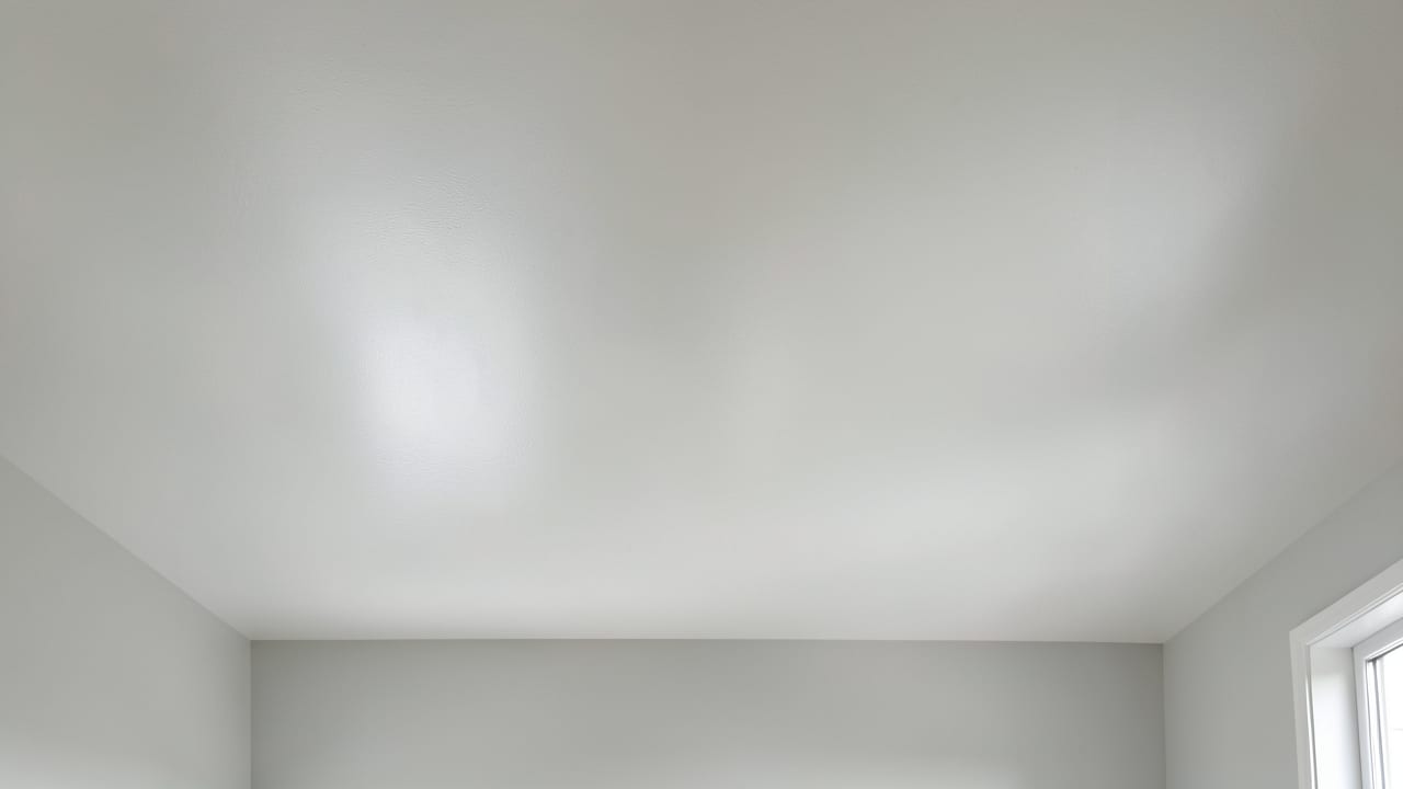 Ceiling Mold Removal in Chantilly, VA in Chantilly