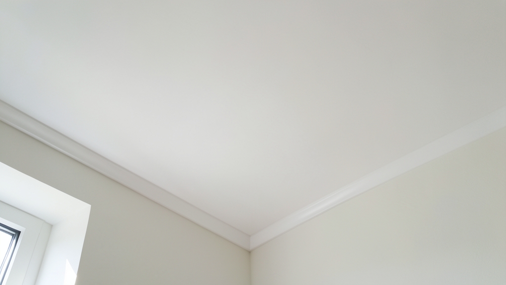 Understanding Florida’s Mold Assessor Licensing