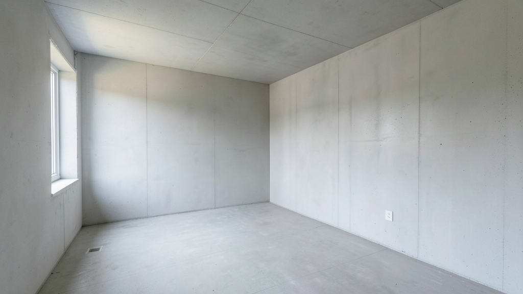 From Spores to Stains: How Mold and Mildew Spread Differently in Indian Rocks Beach
