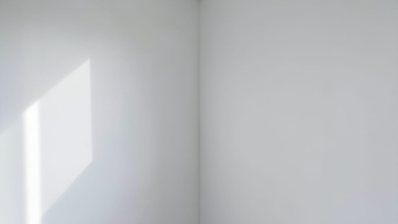 Apartment Mold Remediation in Indian Rocks Beach, FL in Indian Rocks Beach