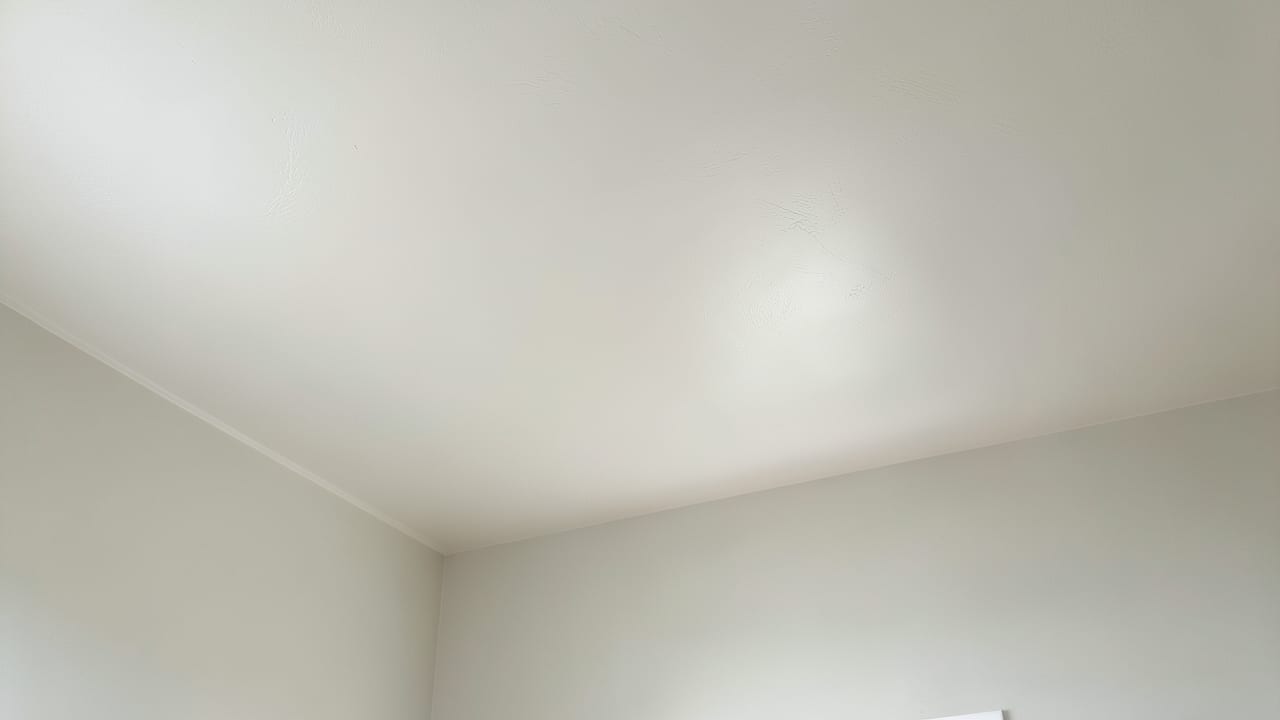 Ceiling Mold Removal in Indian Rocks Beach, FL in Indian Rocks Beach